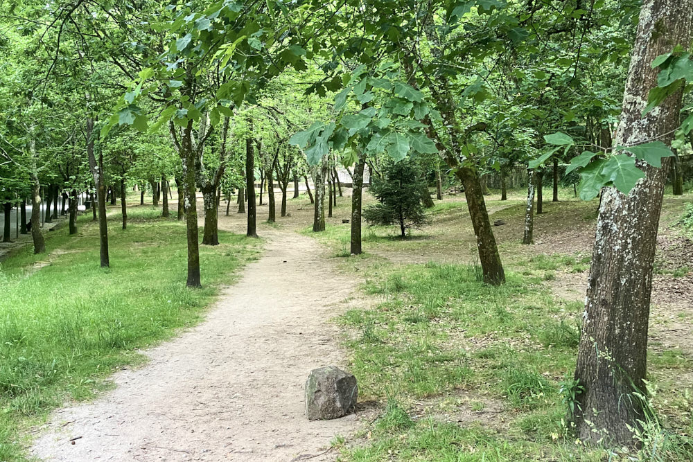 Parque Infantil da Quinta do Covelo