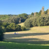 The best parks in Porto