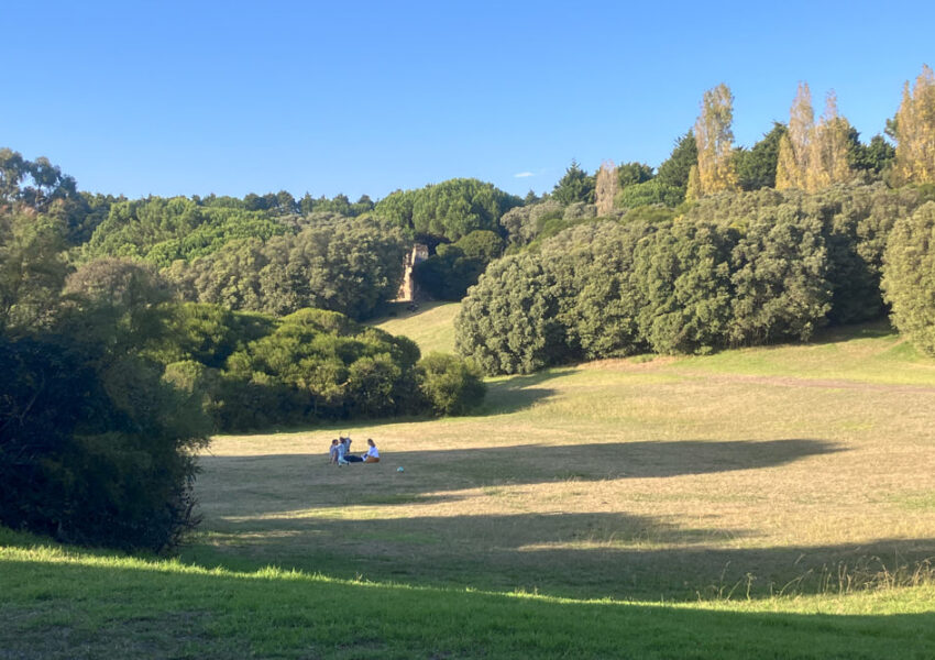The best parks in Porto