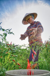 Pieter Janssen Photography - Kiki Photo Tours