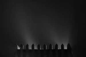 Pieter Janssen Photography - Kiki Photo Tours