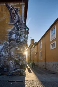 Rabbit in Gaia, Portugal